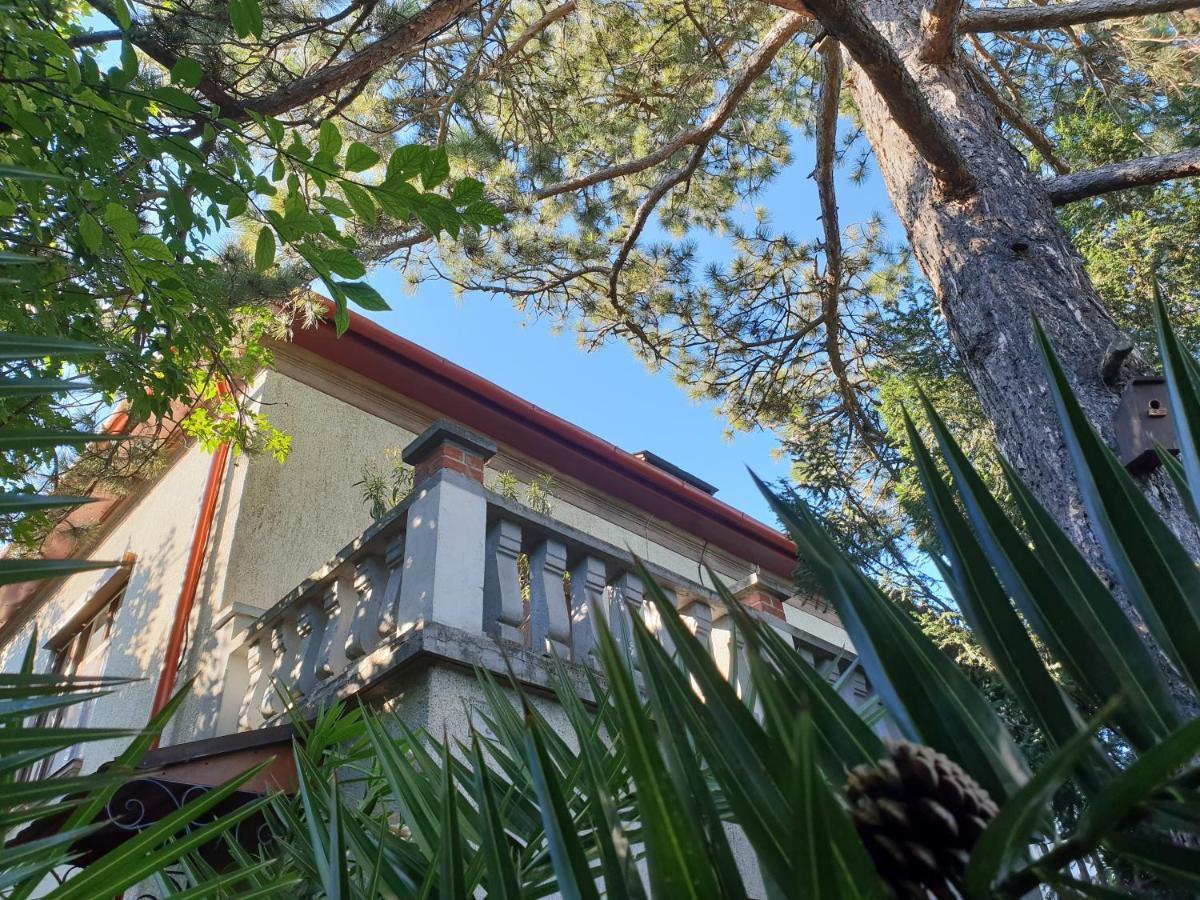 Kasza Villa Balatonfüred Dış mekan fotoğraf