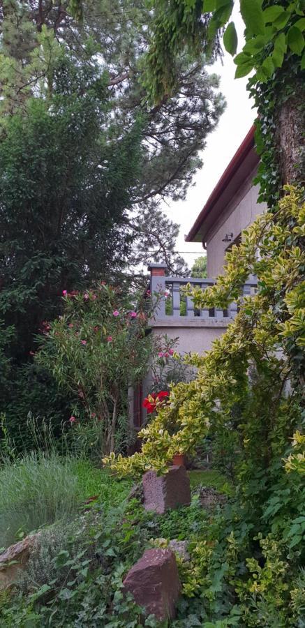 Kasza Villa Balatonfüred Dış mekan fotoğraf
