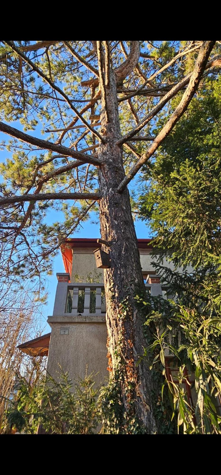 Kasza Villa Balatonfüred Dış mekan fotoğraf